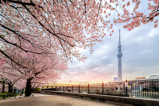 中国城市的这道风景，最适合国庆去看